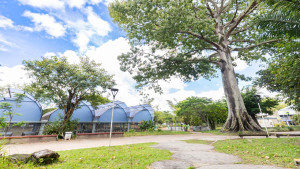 Seduc promove evento de valorização do empreendedorismo e autonomia das mães atípicas