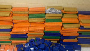 Quase uma tonelada de maconha é apreendida em Simões Filho